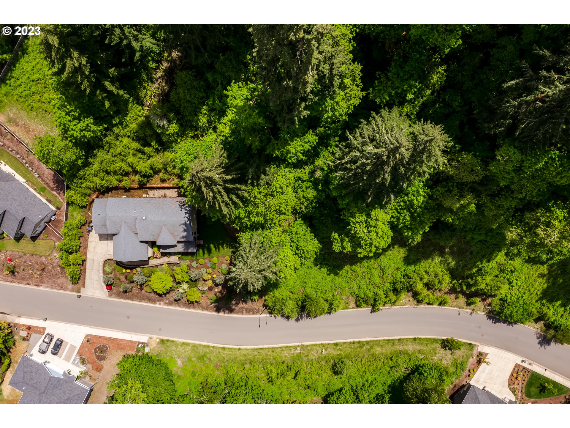 Forest Ridge Springfield, OR 97478 - Photo 3 of 10 a view of a yard