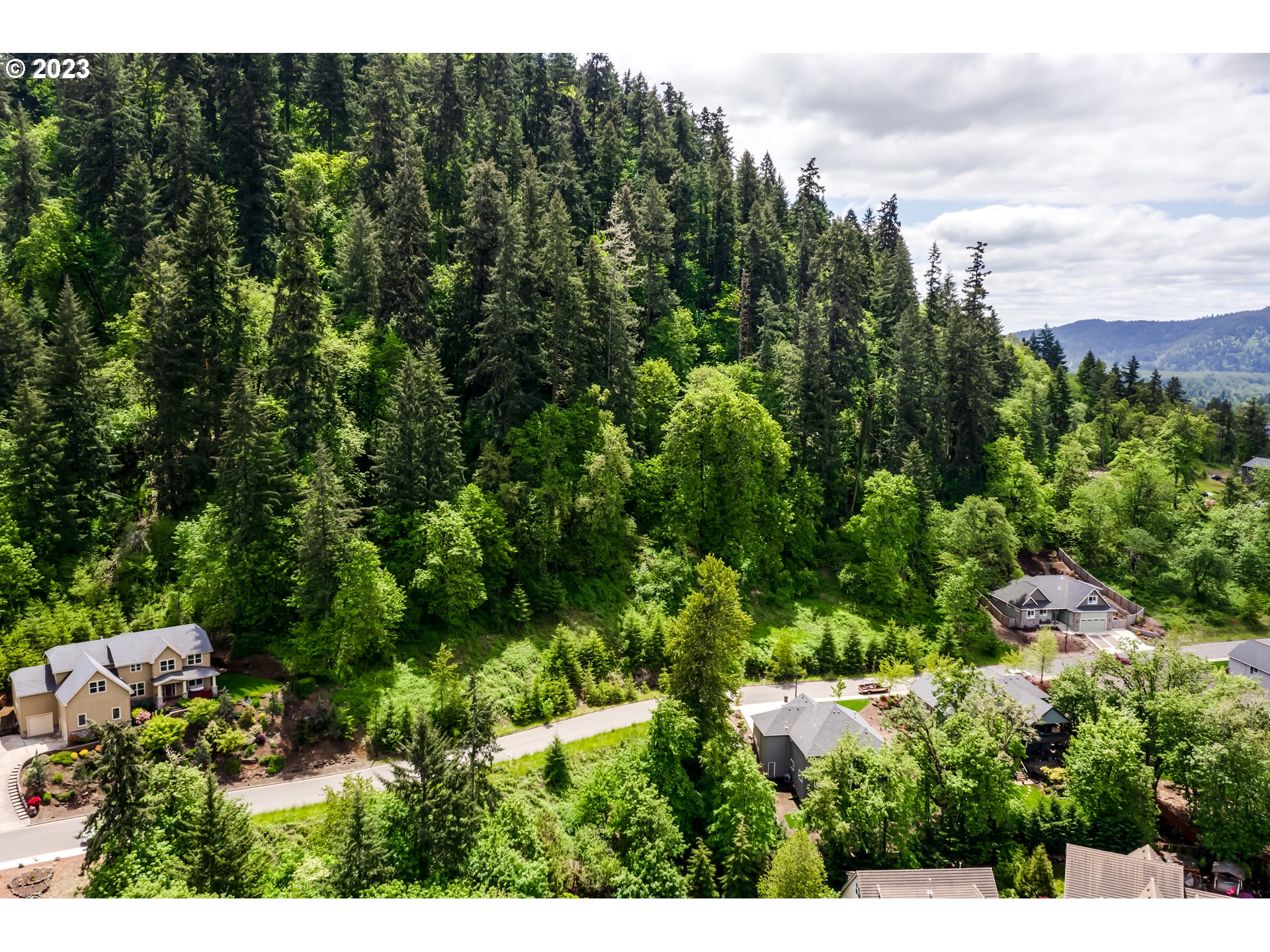 Forest Ridge Springfield, OR 97478 - Photo 7 of 10 a view of a house with a lush green forest