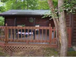204 Jackson Road Unicoi, TN 37692 - Photo 3 of 4 Photo 3