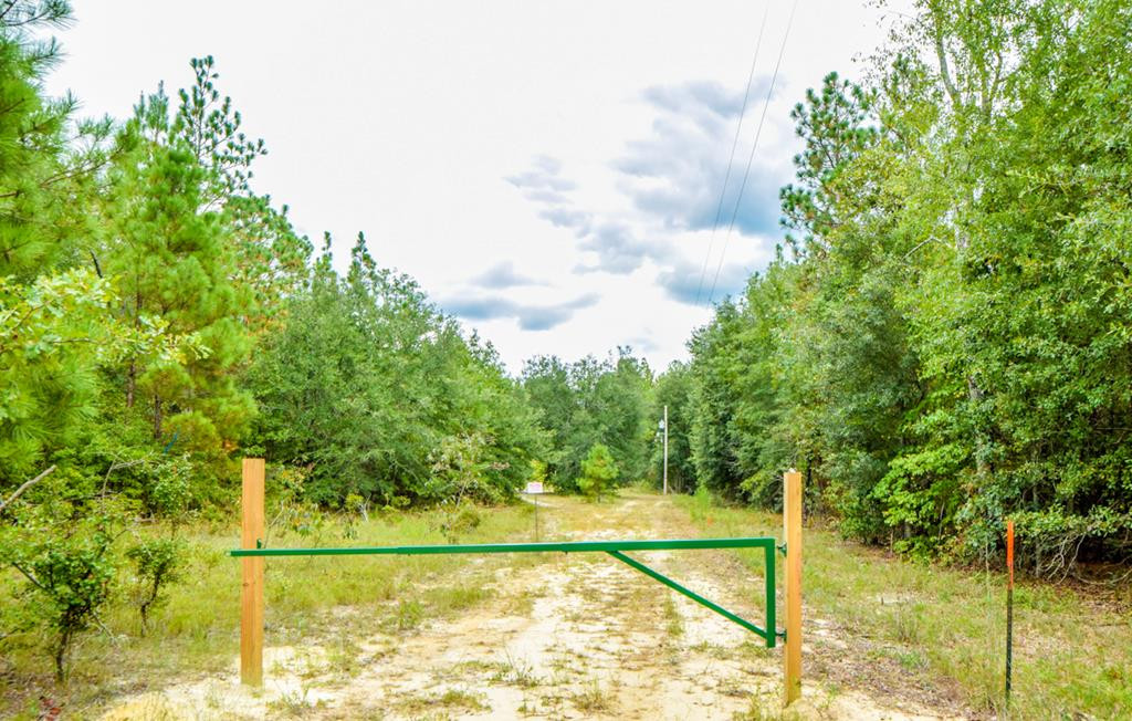 329 Migrant Camp Road Batesburg, SC 29006 - Photo 2 of 2