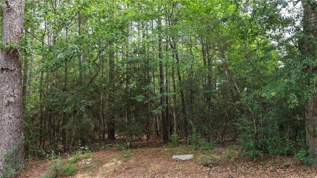 Tbd Loftin Road Coushatta, LA 71019 - Photo 7 of 15 Gallery Image 7