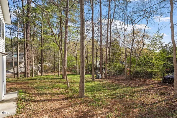 a view of a park with large trees