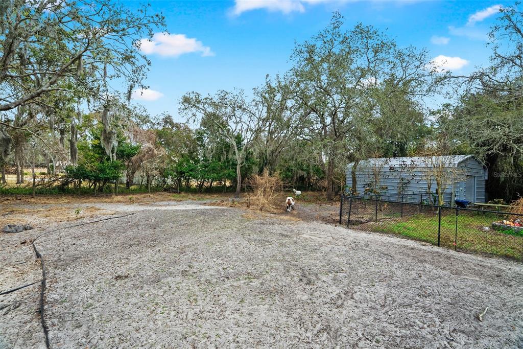 6568 Millstone Drive New Port Richey, FL 34655 - Photo 51 of 61