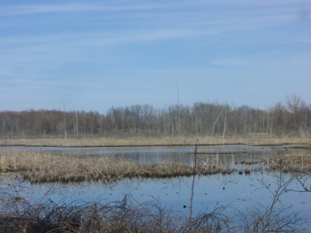 2 6 6 Mile Road Battle Creek, MI 49017 - Photo 4 of 10