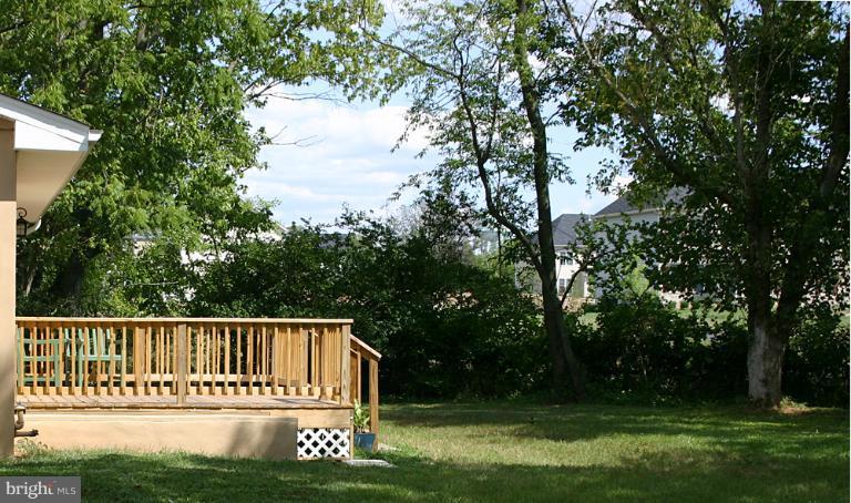 20300 Whites Ferry Road Poolesville, MD 20837 - Photo 13 of 30 a view of barbeque area