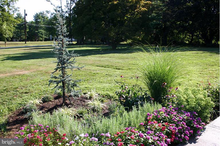 20300 Whites Ferry Road Poolesville, MD 20837 - Photo 14 of 30 a view of a garden with flowers