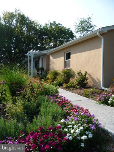 20300 Whites Ferry Road Poolesville, MD 20837 - Photo 28 of 30 a view of a garden with flowers and trees