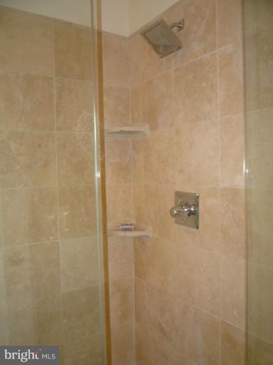 20300 Whites Ferry Road Poolesville, MD 20837 - Photo 4 of 30 a bathroom with a shower