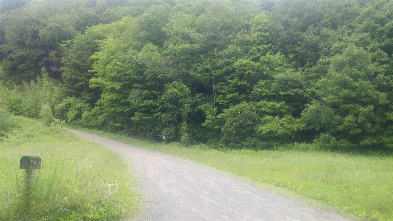 0 Chandler Road Northfield, VT 05663 - Photo 8 of 10