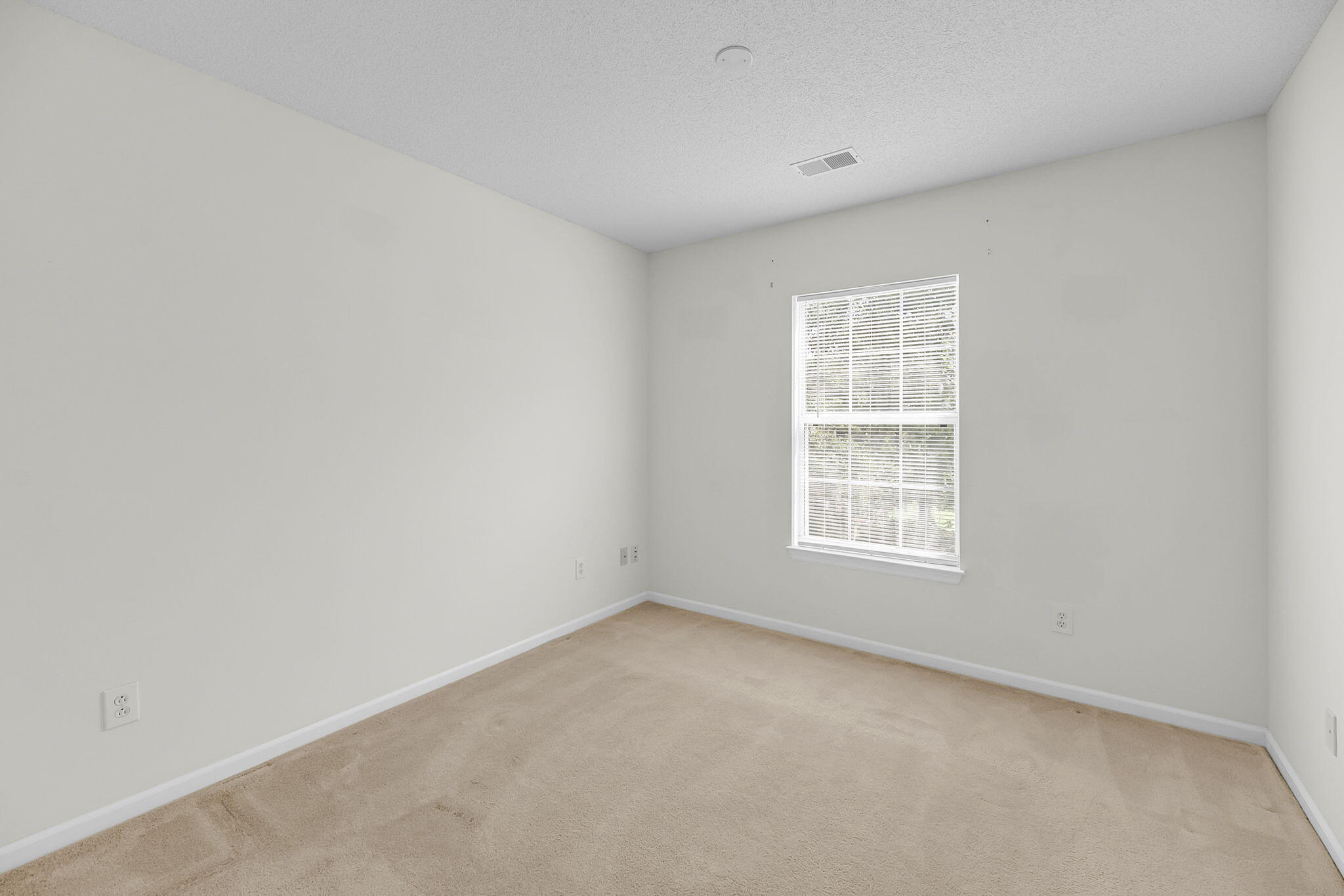 127 Walnut Creek Road Charleston, SC 29414 - Photo 29 of 76 CREM - 127 Walnut Creek-43
