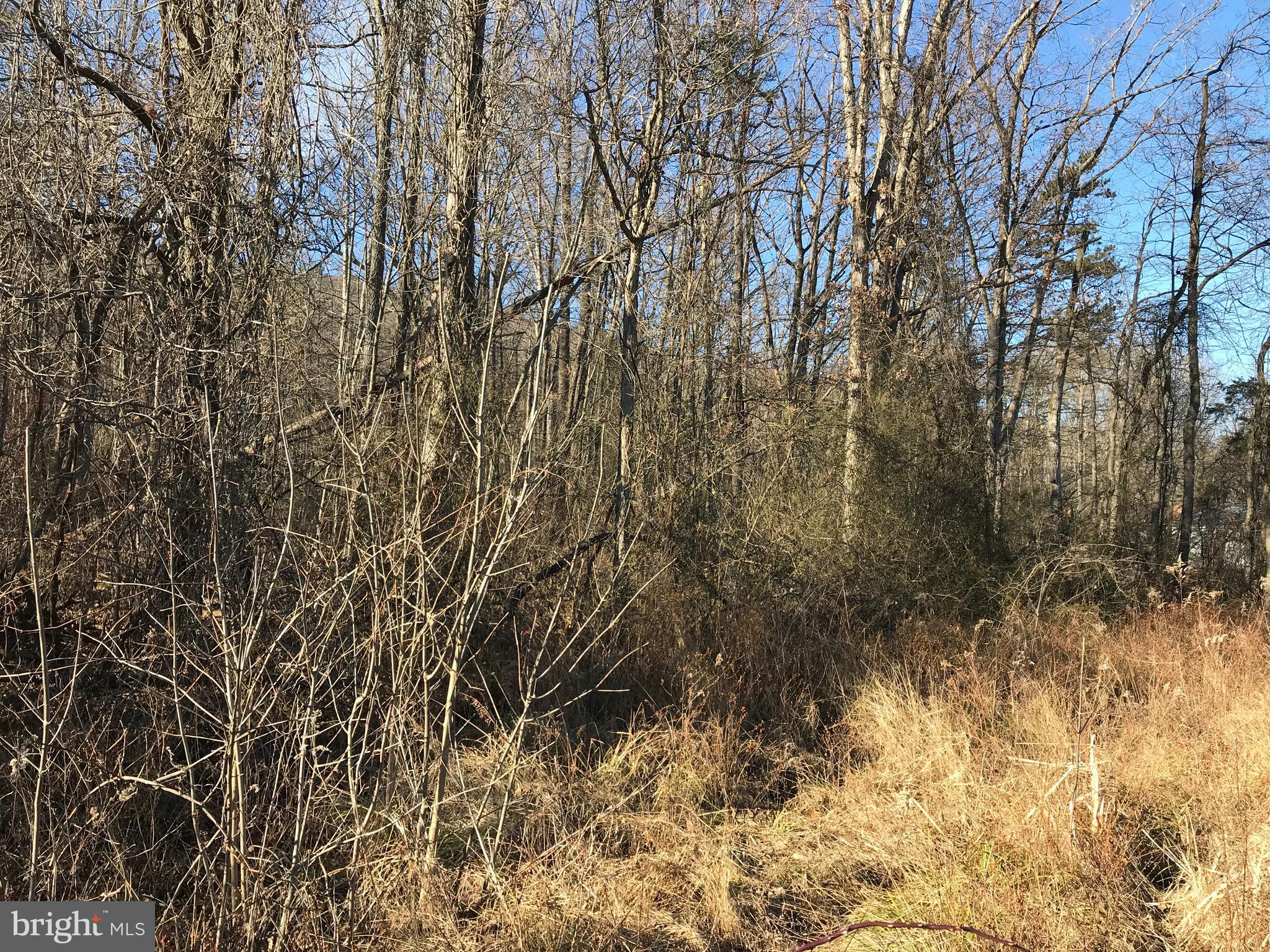 522 Valley Road Berkeley Springs, WV 25411 - Photo 1 of 12