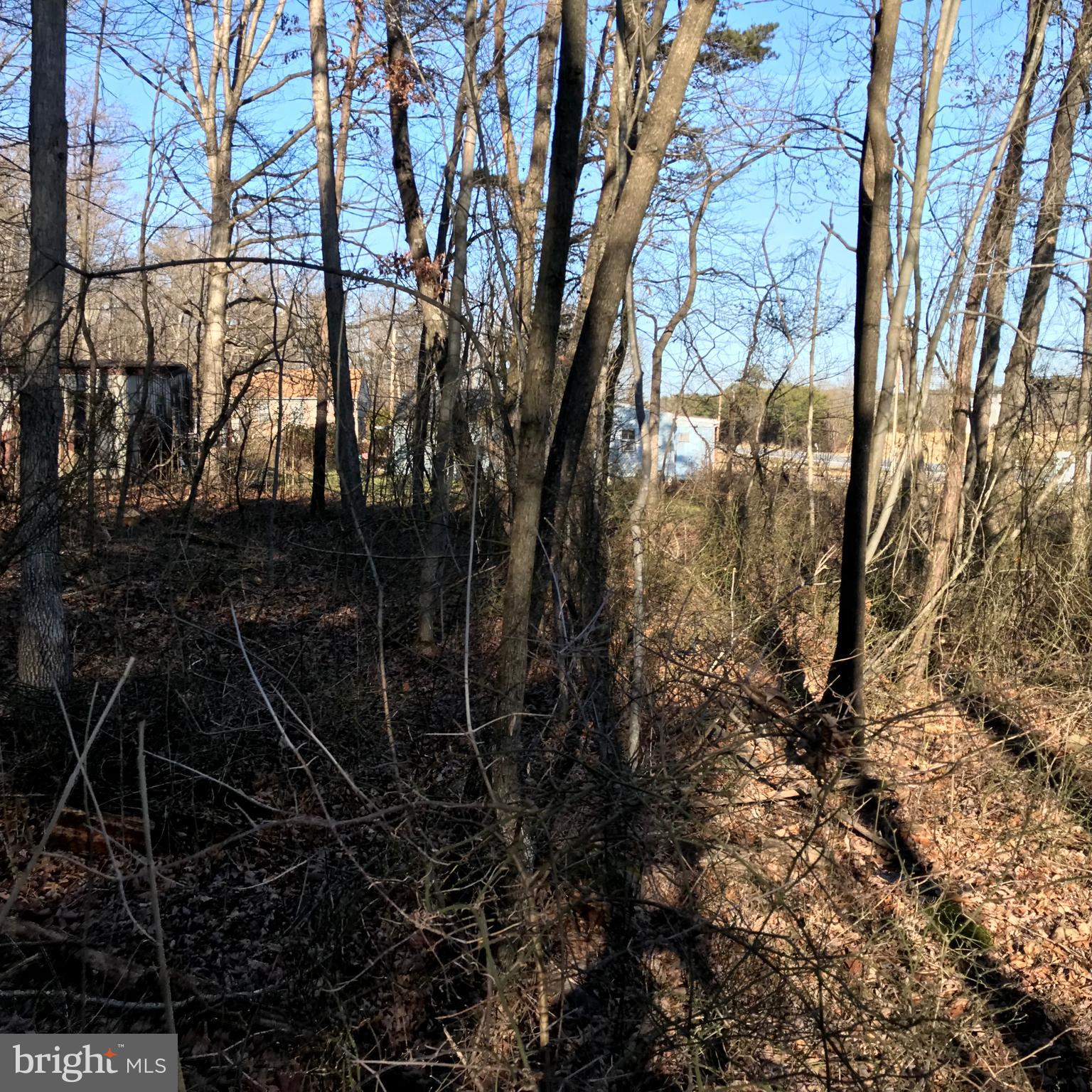 522 Valley Road Berkeley Springs, WV 25411 - Photo 5 of 12