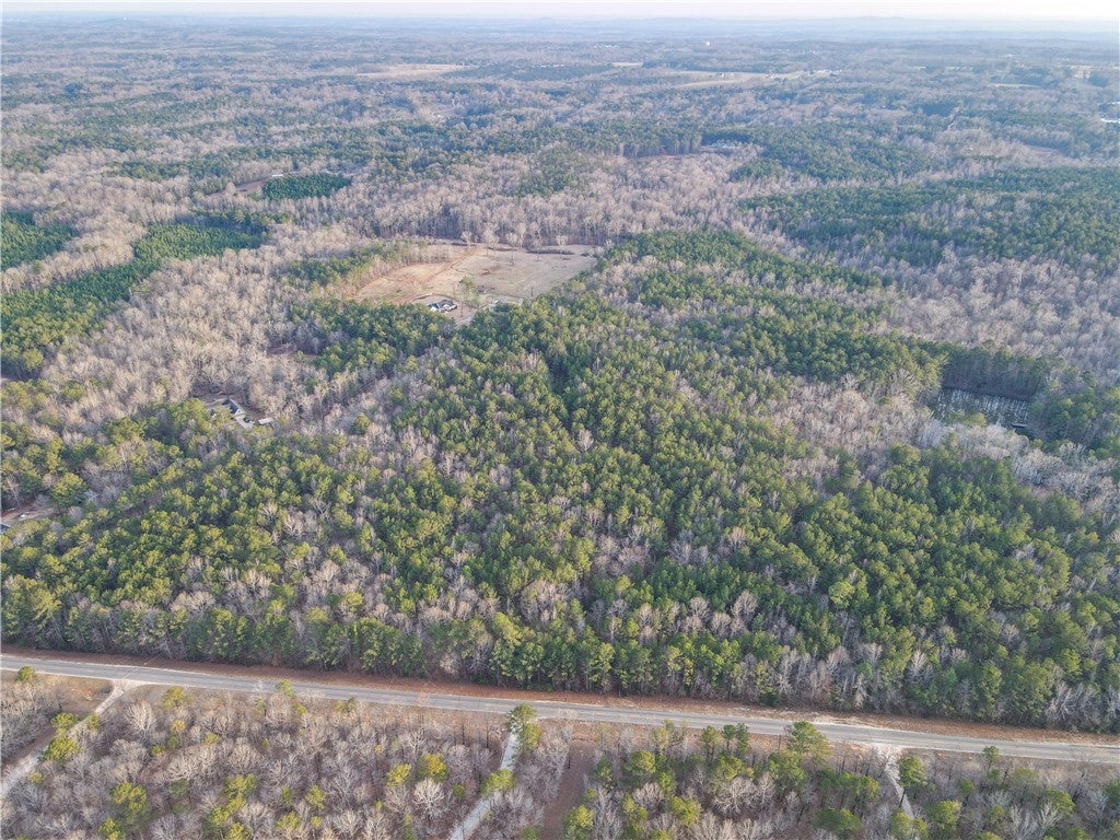 0 Judge Brown Road Valley, AL 36854 - Photo 4 of 11 Gallery Image 4