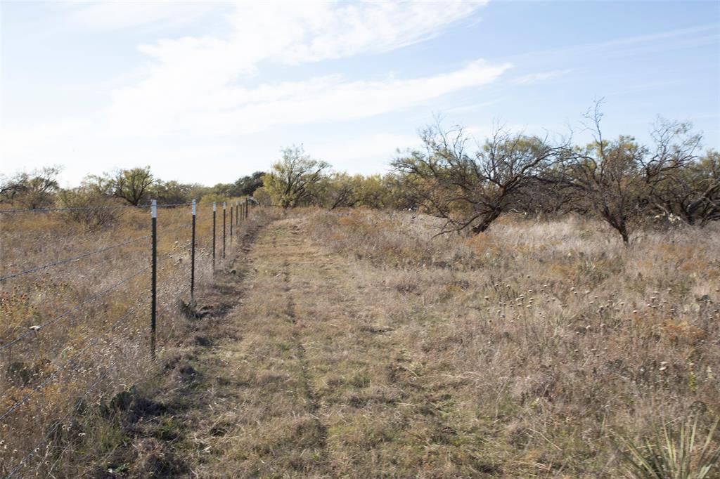 0 Turtle Hole Road Graham, TX 76450 - Photo 10 of 16 a view of a dry yard covered with trees