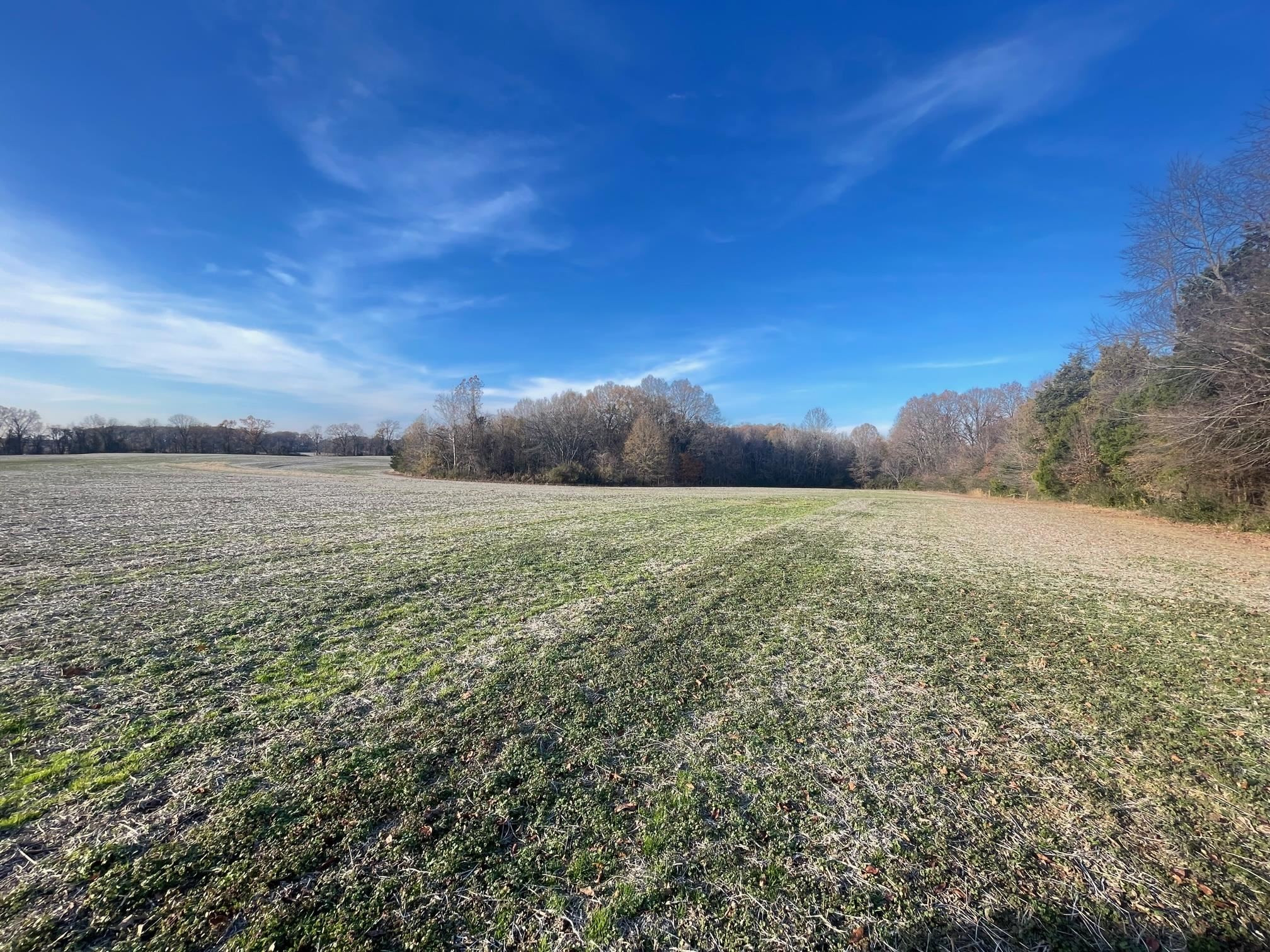 20.54-acres Boone Road Medina, TN 38355 - Photo 12 of 28 Photo 11