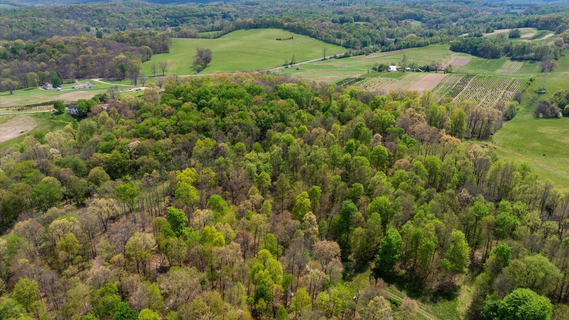 0 Beal Road Southeast, Unit TRACT 4 Newark, OH 43056 - Photo 5 of 13 03-z 0 Beal006