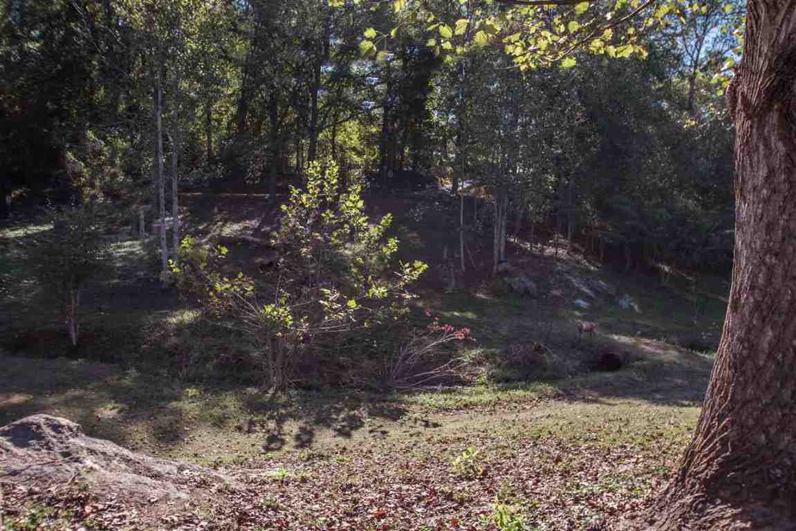 404 Runnymeade Road Pickens, SC 29671 - Photo 8 of 36 Gallery Image 8