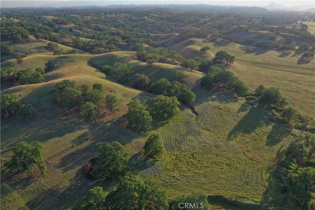 15385 Weston Road Corning, CA 96021 - Photo 38 of 75