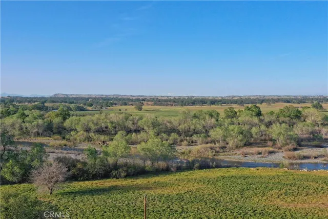 a view of a forest with a forest