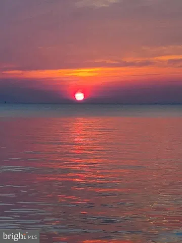 a swimming pool with some trees in the background