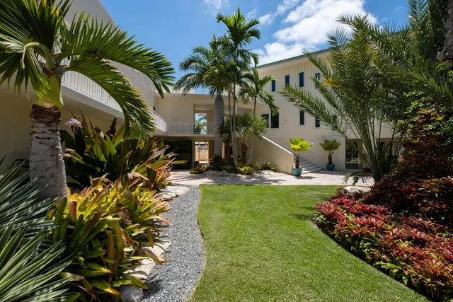 a view of a backyard with palm trees