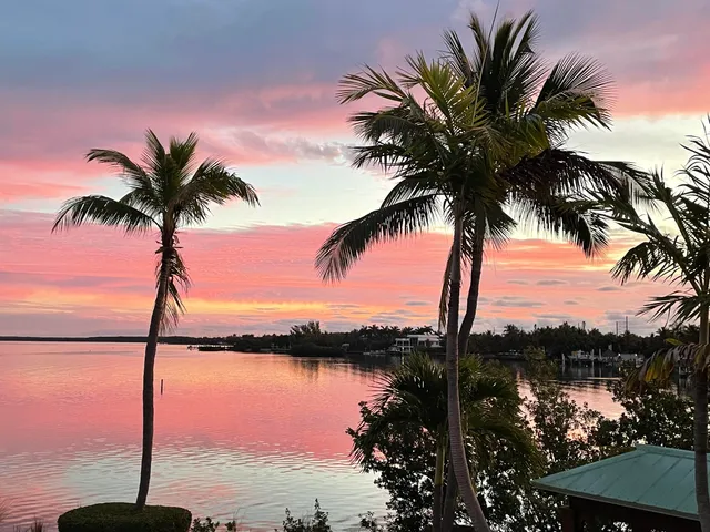 a view of an outdoor space and yard
