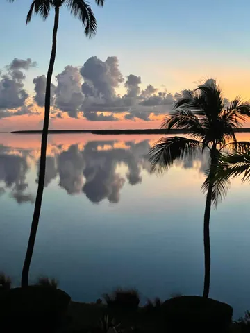a view of a balcony with potted plants