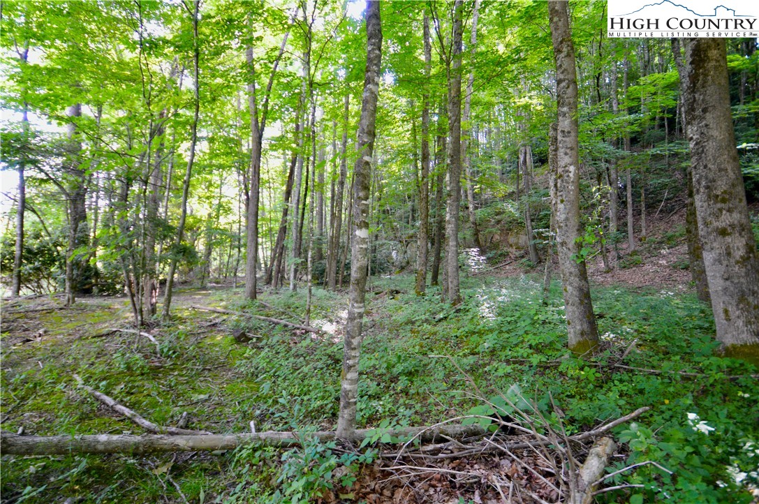1000-tbd Berry Road Banner Elk, NC 28604 - Photo 10 of 15 Gallery Image 10