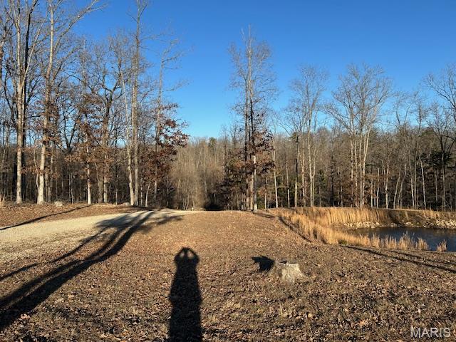 5097 County Road 131 Arcadia, MO 63621 - Photo 48 of 49