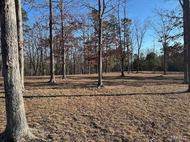 5097 County Road 131 Arcadia, MO 63621 - Photo 5 of 49