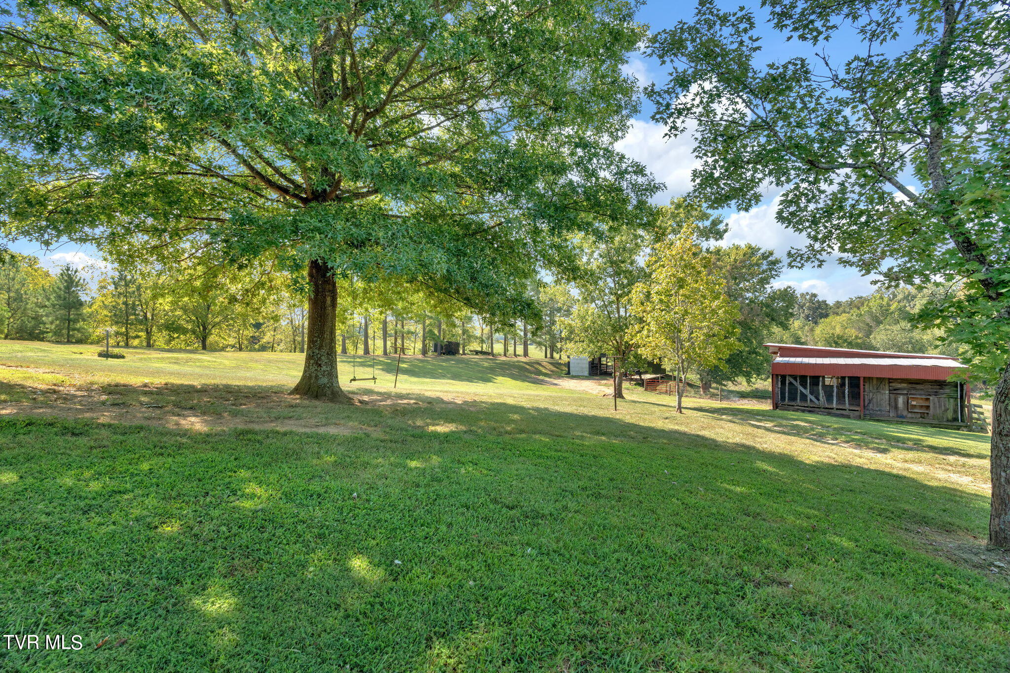 3525 Shackleford Road Mosheim, TN 37818 - Photo 39 of 58 39-web-or-mls-DSC03408