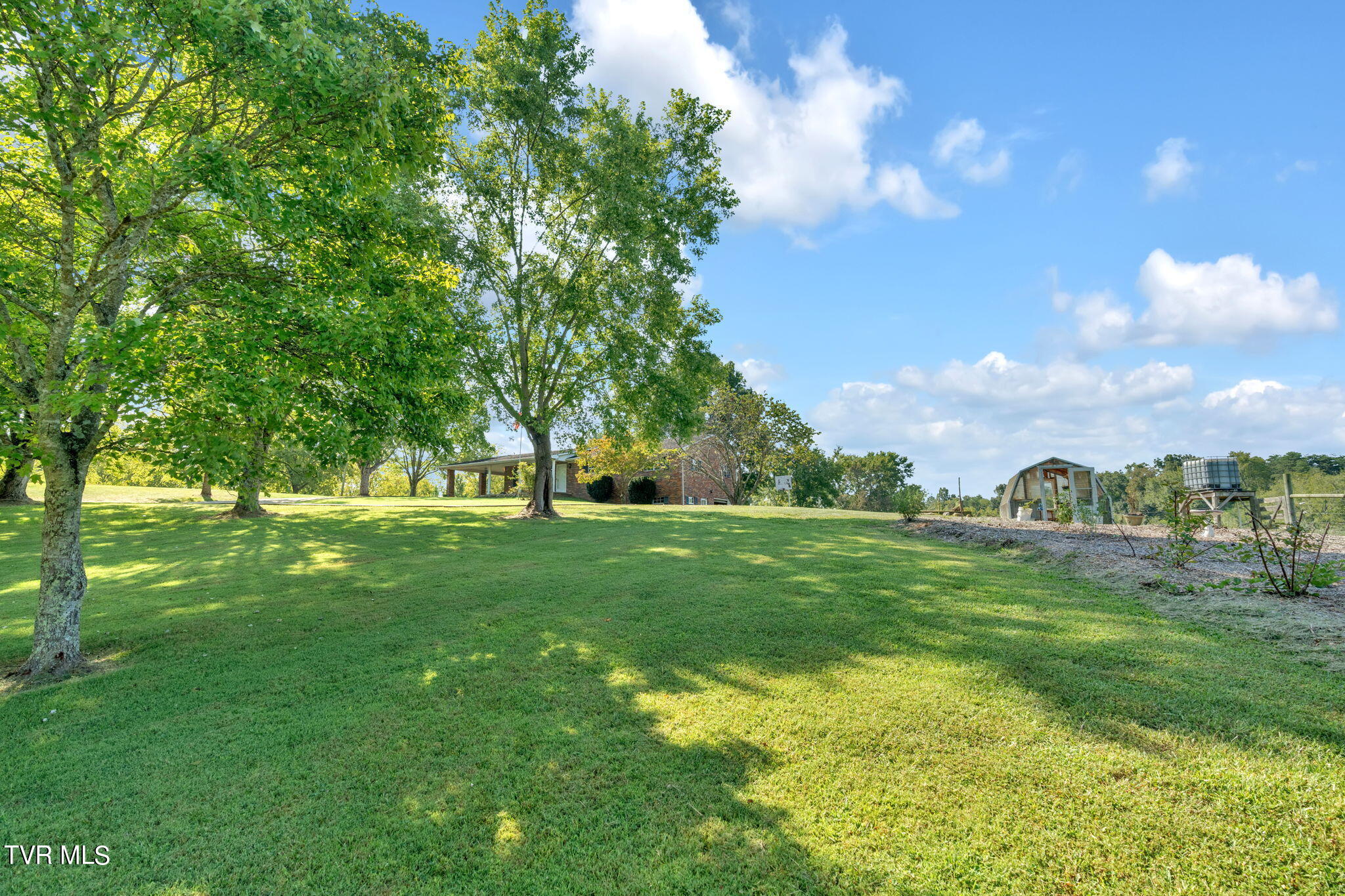 3525 Shackleford Road Mosheim, TN 37818 - Photo 47 of 58 42-web-or-mls-DSC03411