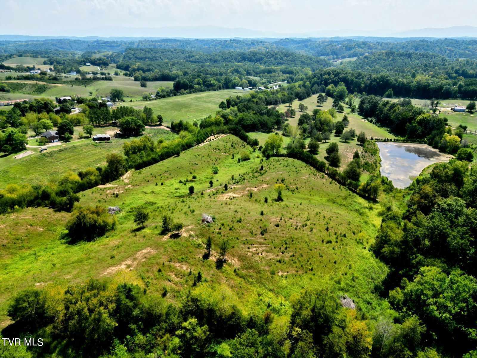3525 Shackleford Road Mosheim, TN 37818 - Photo 53 of 58 456147805_388002494324234_27287827340337