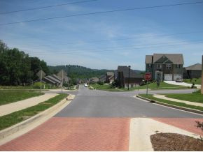 55 Azalea Ridge, Unit 2 Johnson City, TN 37601 - Photo 4 of 5 Street Scene to Lake Ridge Est