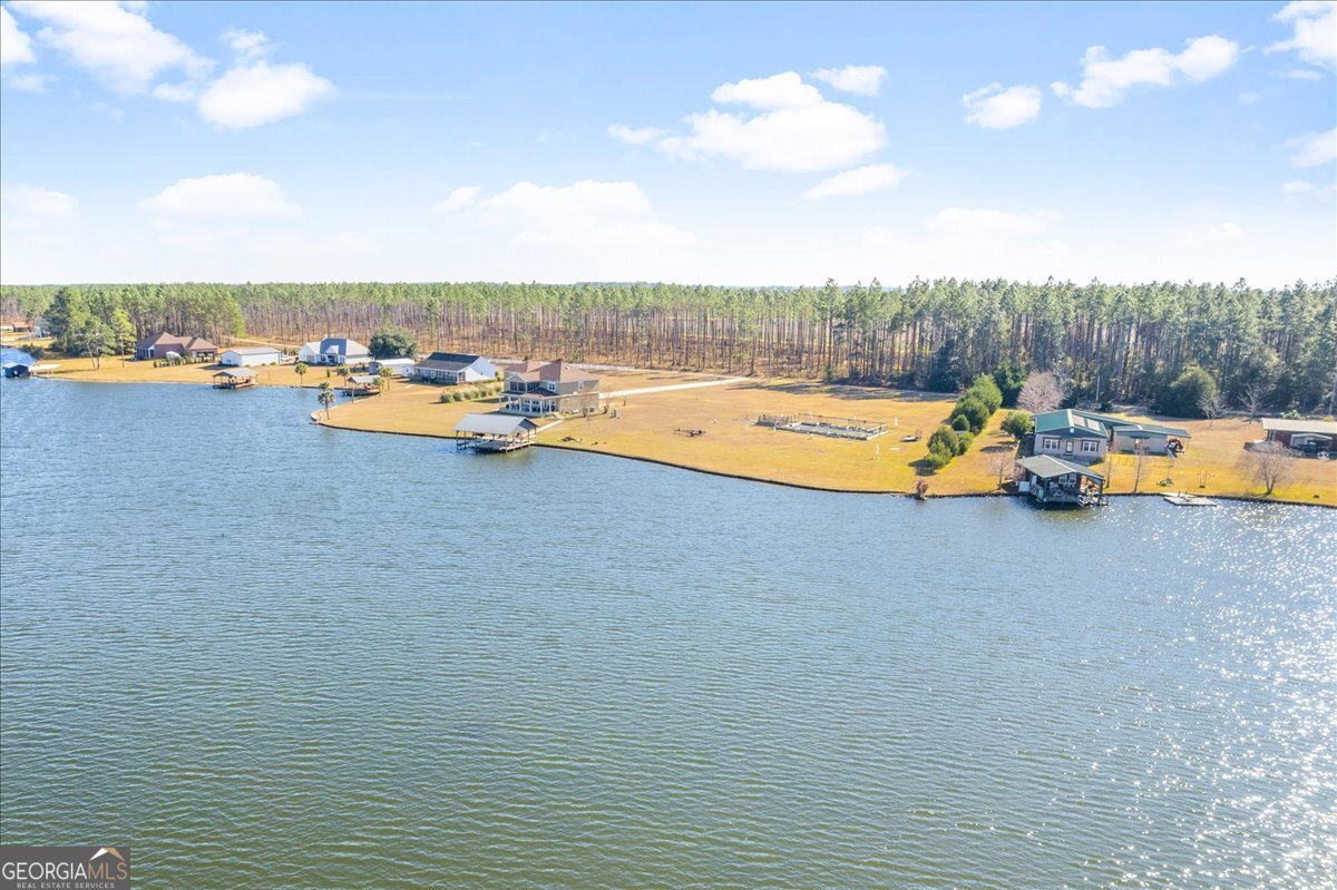 201 Miles Road Bristol, GA 31518 - Photo 56 of 69