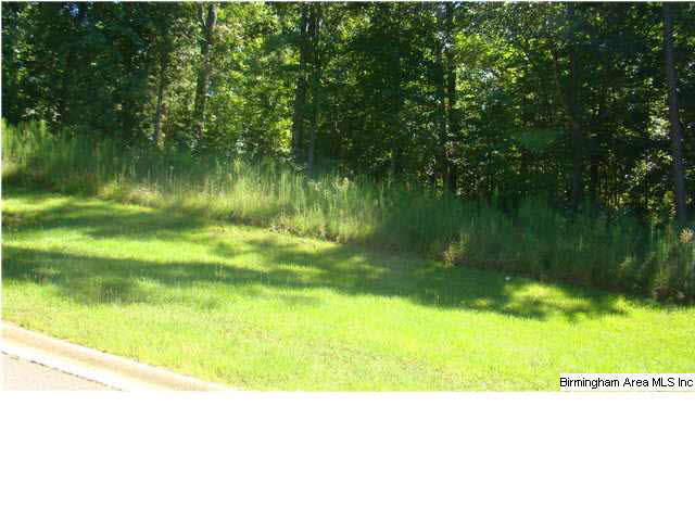 Stagg Run Circle, Unit 19 Pelham, AL 35124 - Photo 10 of 17