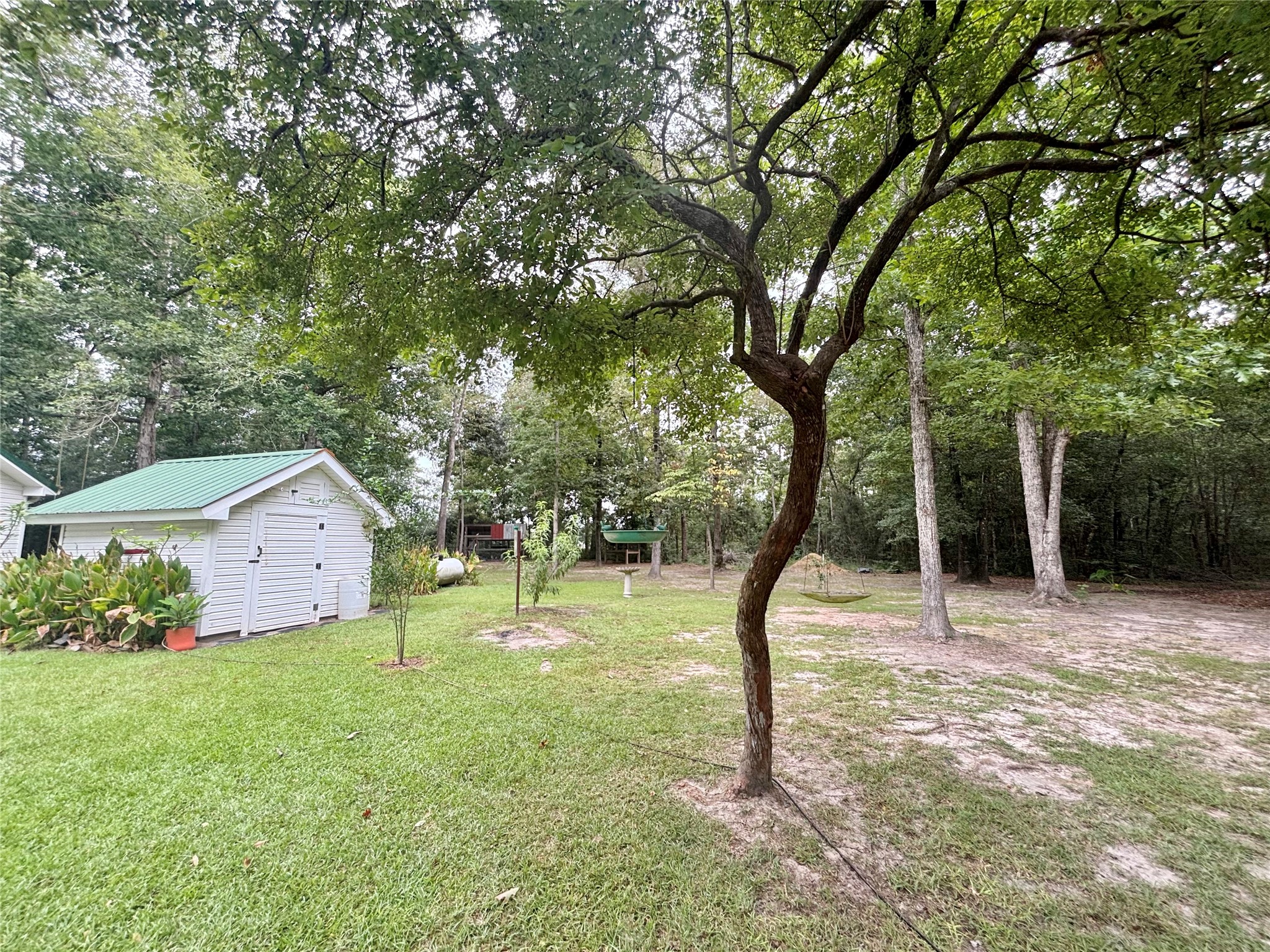 516 County Road 4800 Warren, TX 77664 - Photo 33 of 50 a backyard of a house with lots of green space