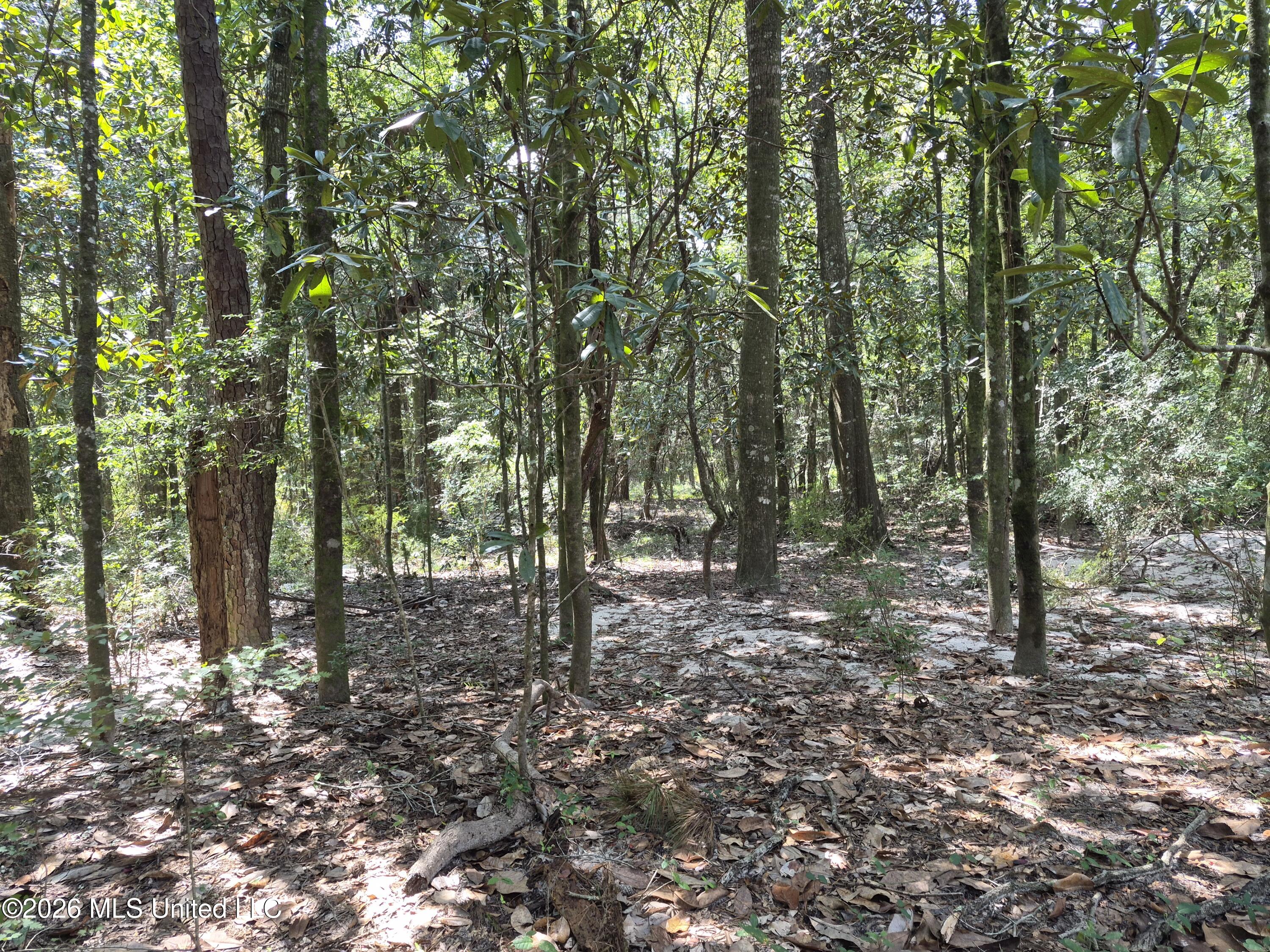 13756 River Road Gulfport, MS 39503 - Photo 71 of 93 Wooded West End