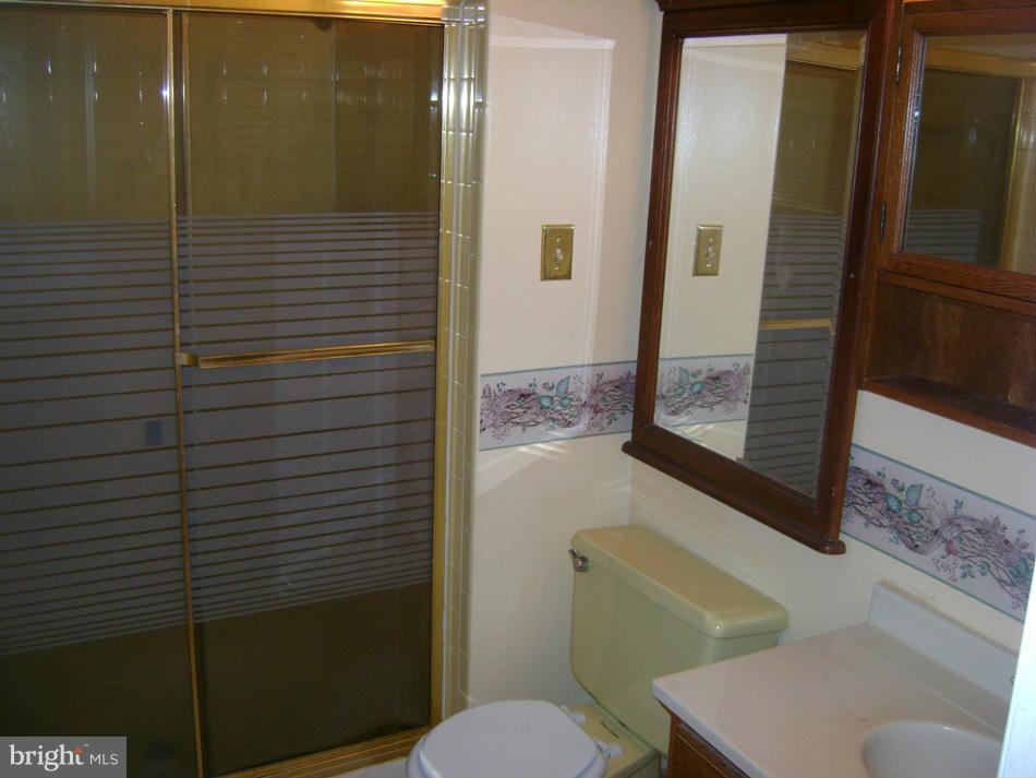 11906 Fort Washington Road Fort Washington, MD 20744 - Photo 24 of 30 Bath (Master)