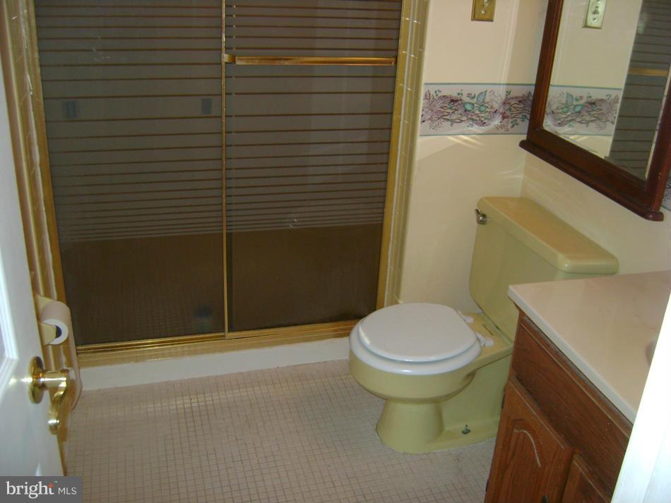 11906 Fort Washington Road Fort Washington, MD 20744 - Photo 25 of 30 Bath (Master) Shower