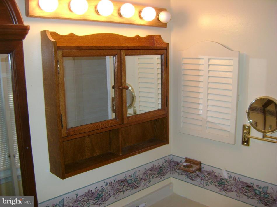 11906 Fort Washington Road Fort Washington, MD 20744 - Photo 26 of 30 Bath (Master) vanity