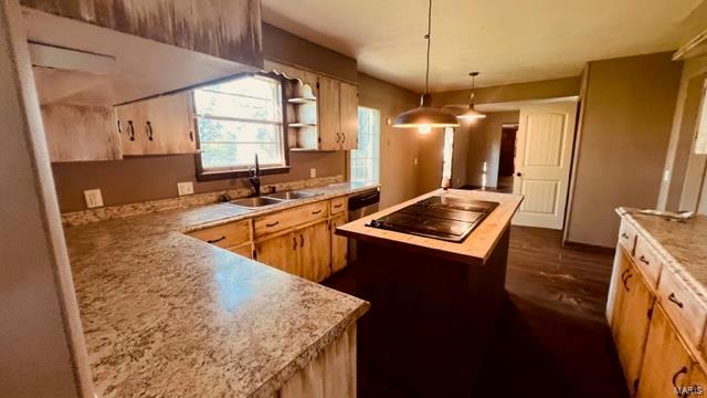 215 County Road 360 Thayer, MO 65791 - Photo 5 of 24