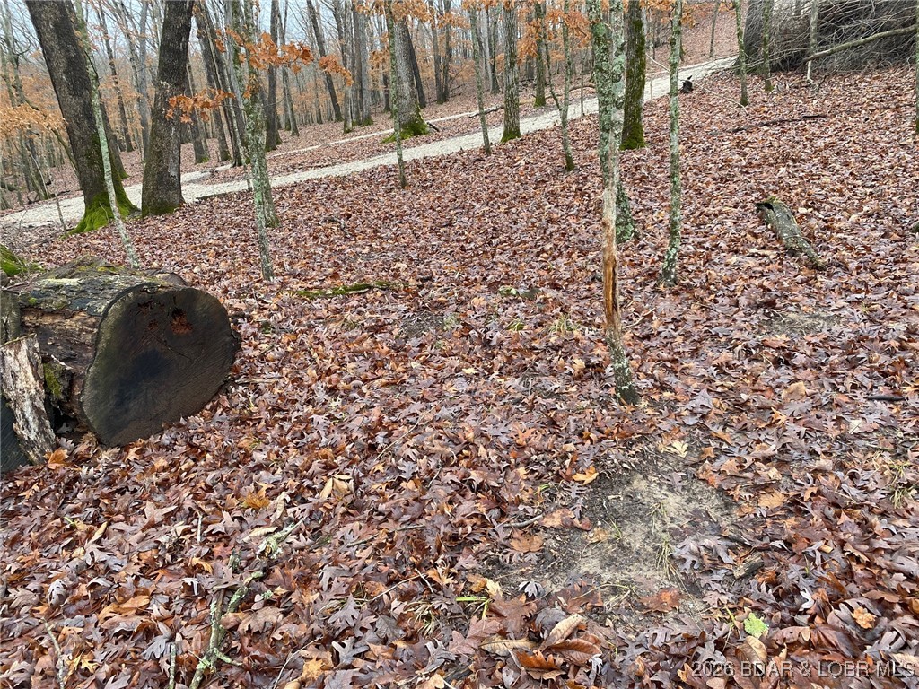 Graceland Point Climax Springs, MO 65324 - Photo 11 of 36