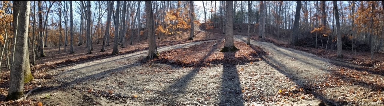 Graceland Point Climax Springs, MO 65324 - Photo 12 of 36