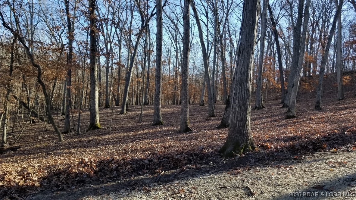 Graceland Point Climax Springs, MO 65324 - Photo 13 of 36