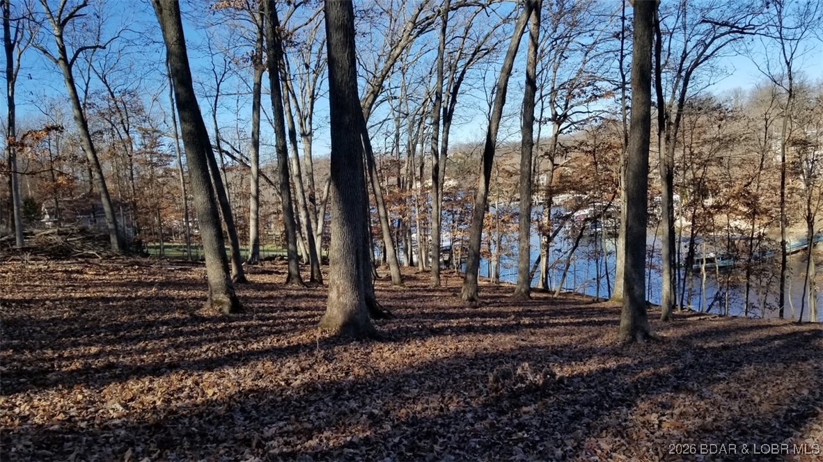 Graceland Point Climax Springs, MO 65324 - Photo 14 of 36