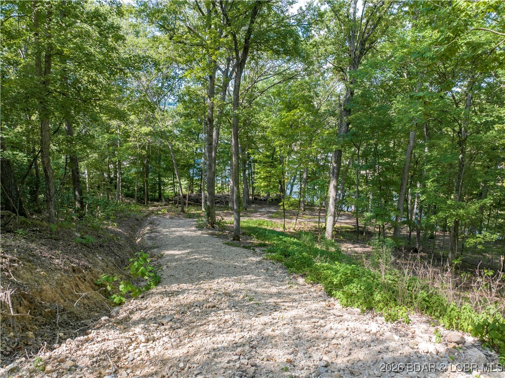 Graceland Point Climax Springs, MO 65324 - Photo 17 of 36