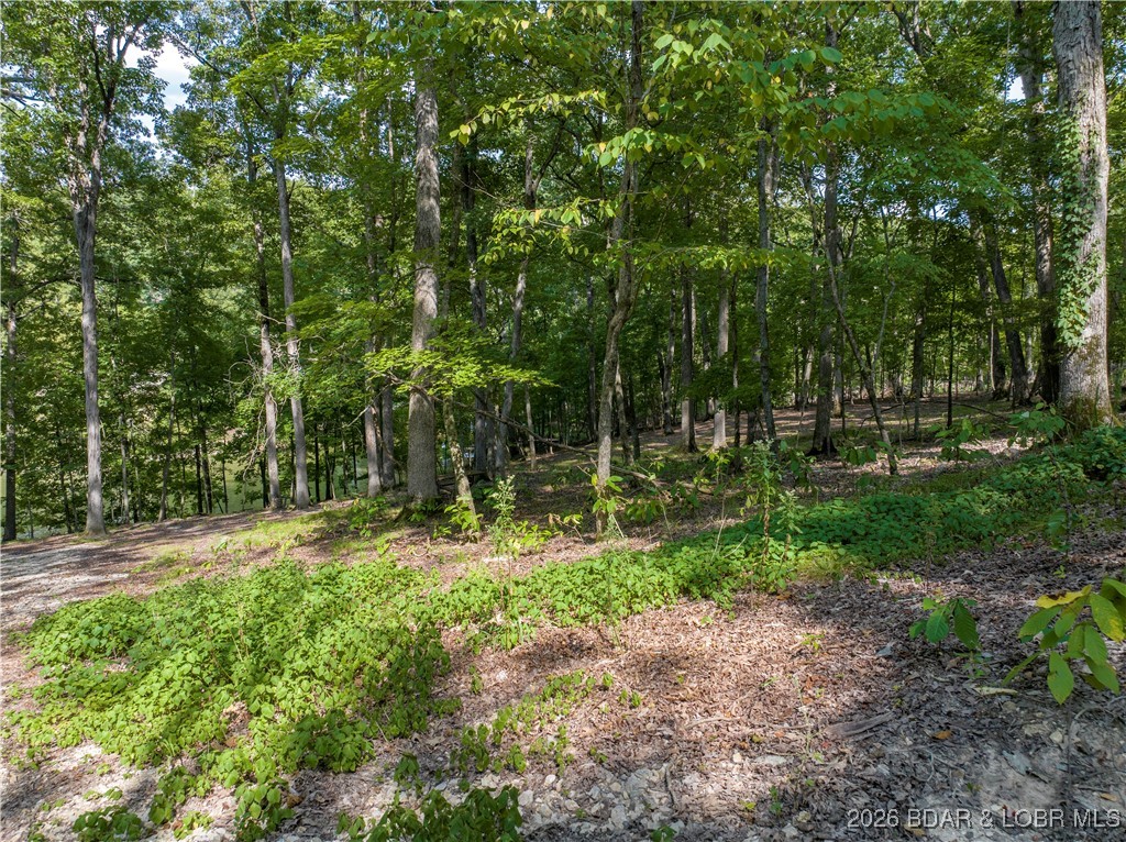 Graceland Point Climax Springs, MO 65324 - Photo 19 of 36