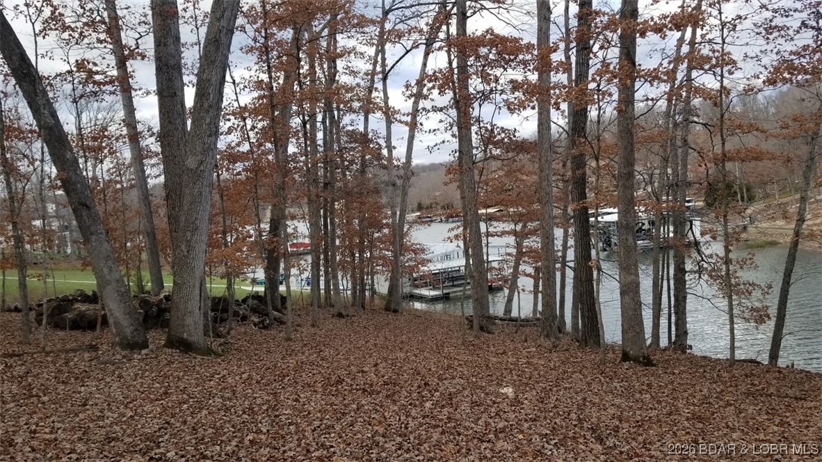 Graceland Point Climax Springs, MO 65324 - Photo 19 of 37