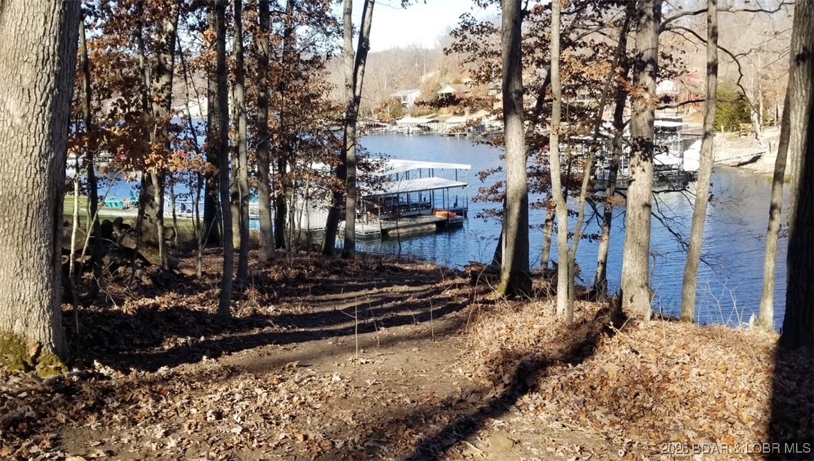 Graceland Point Climax Springs, MO 65324 - Photo 20 of 36